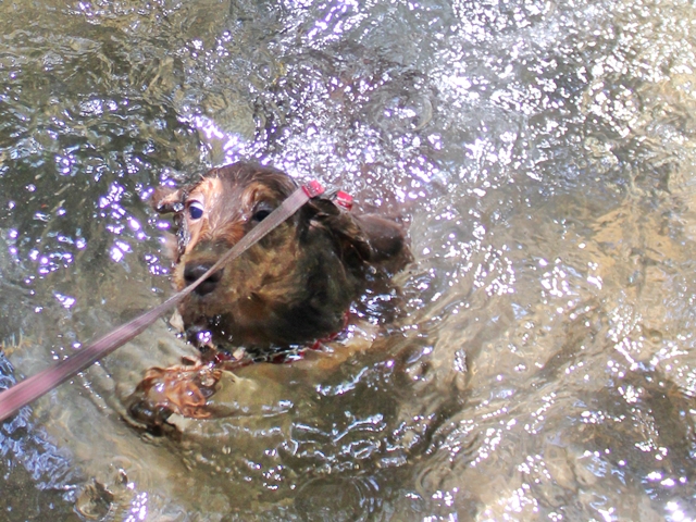 c0228404_551133.jpg
