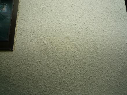 a0183005_2127521.jpg