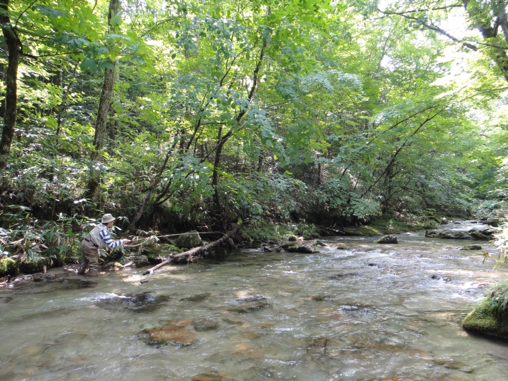 b0172805_1075586.jpg