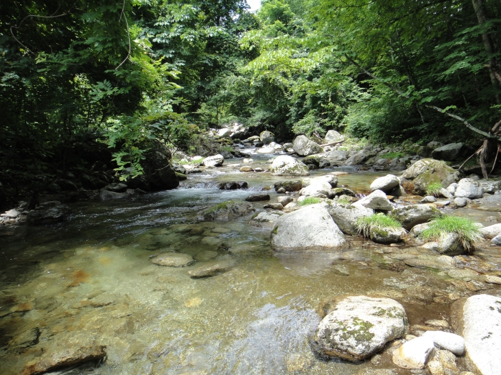 b0172805_8505393.jpg