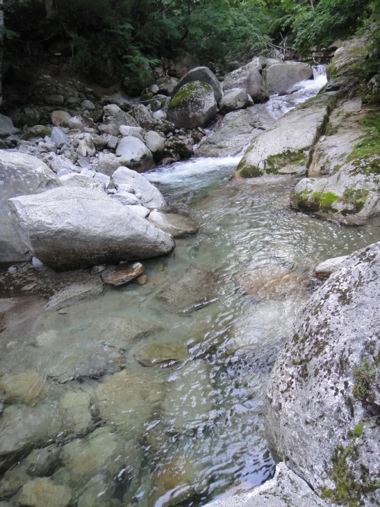 b0172805_8564015.jpg