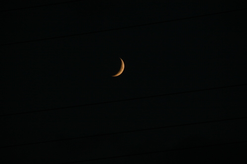 a0206808_205451.jpg