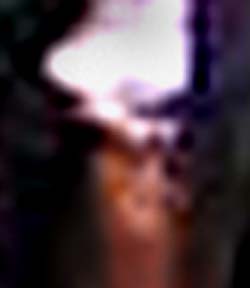 e0103408_14543810.jpg