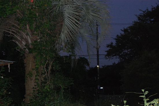 c0097309_824731.jpg