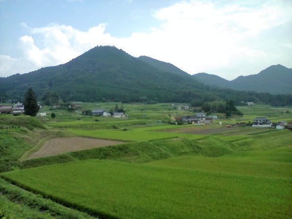 田舎の風景 山と田畑 チドルばぁばの家庭菜園日誌