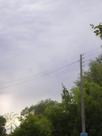 c0124619_1543939.jpg
