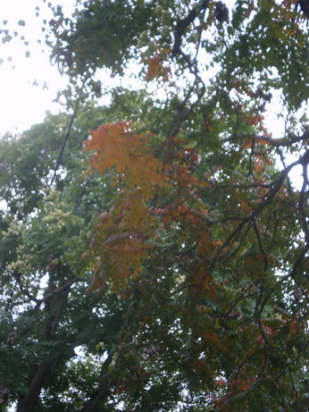 c0124619_15535497.jpg
