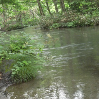 c0160822_1474182.jpg