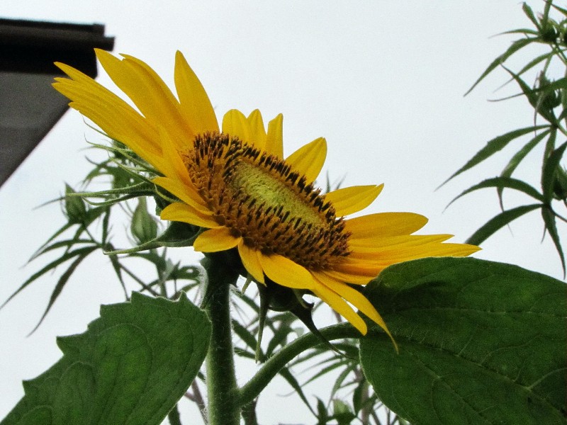 a0004023_10302313.jpg