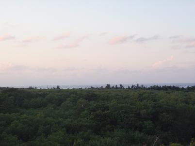 a0147023_6503142.jpg