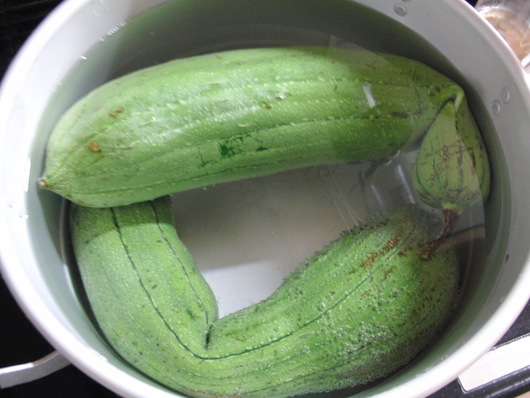 b0047423_0244995.jpg