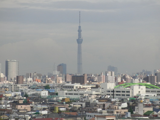 b0047423_07791.jpg