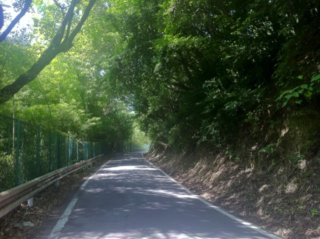 c0188525_12505514.jpg