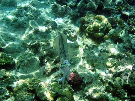 d0107725_2153590.jpg