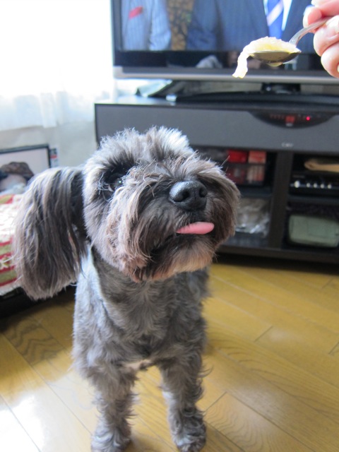 f0217828_04530.jpg