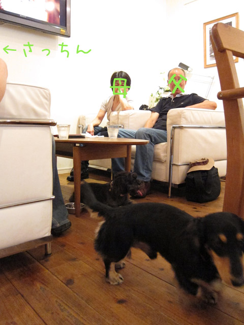 f0217828_04739.jpg