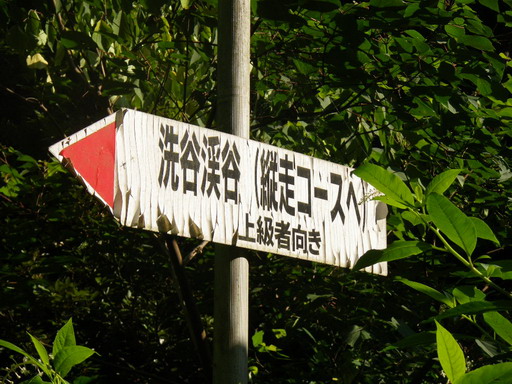 f0000330_17314244.jpg