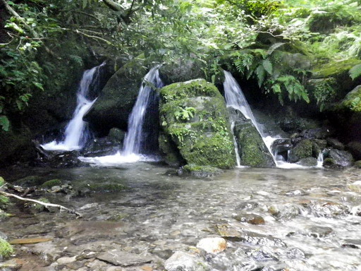 f0000330_17365422.jpg