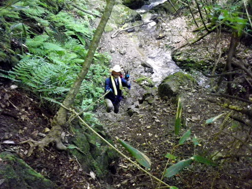 f0000330_17413383.jpg