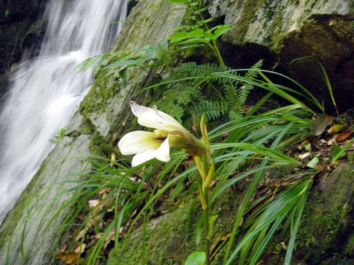 f0000330_17463036.jpg