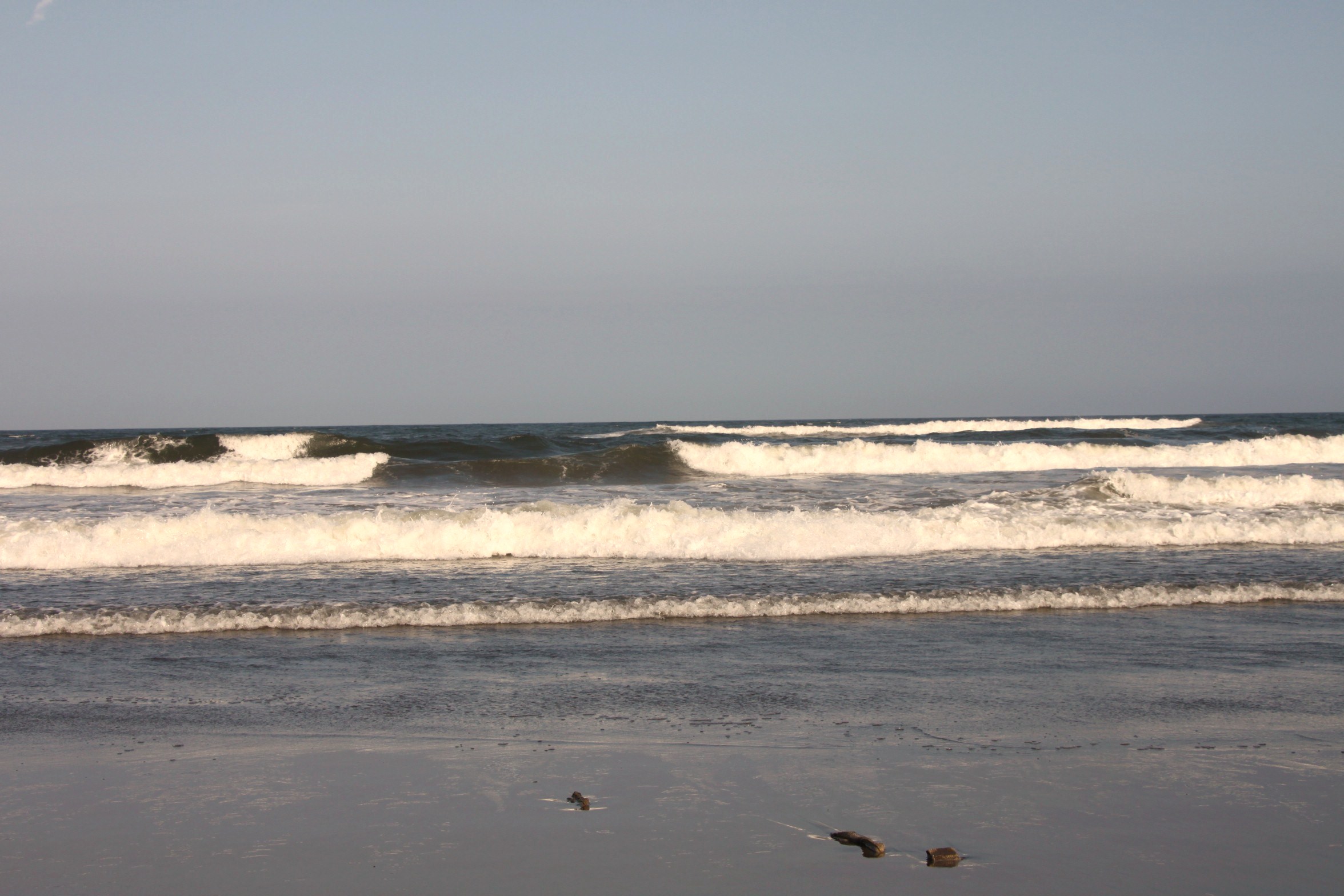 b0193632_1316497.jpg