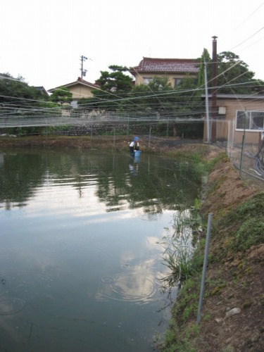 f0214235_05155.jpg