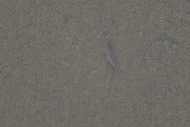 d0218238_22385743.jpg