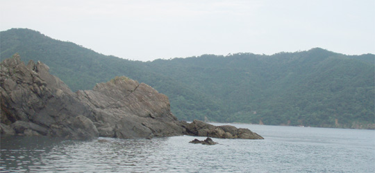 b0169939_15392169.jpg