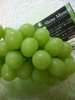 木イチゴ_a0142642_19592112.jpg