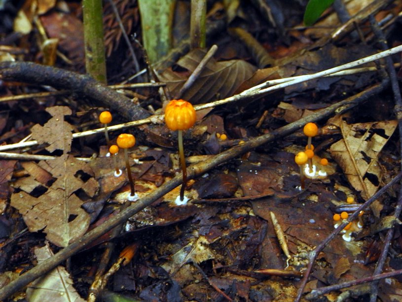 b0141042_18215382.jpg