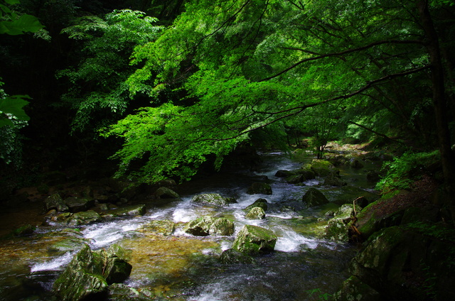 d0186245_23304818.jpg