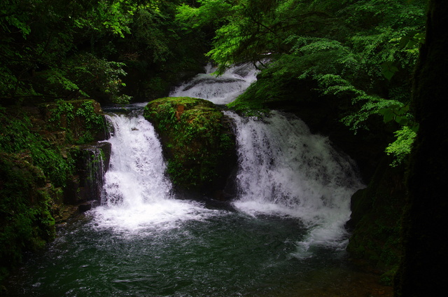 d0186245_2333953.jpg