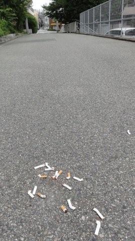 Cigarette butts from cars_c0157558_10224738.jpg
