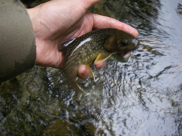 f0212059_0202397.jpg
