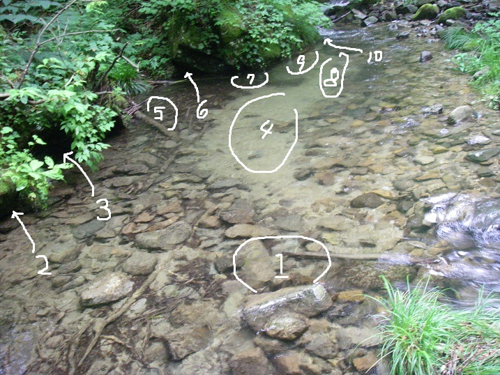 f0212059_02218100.jpg