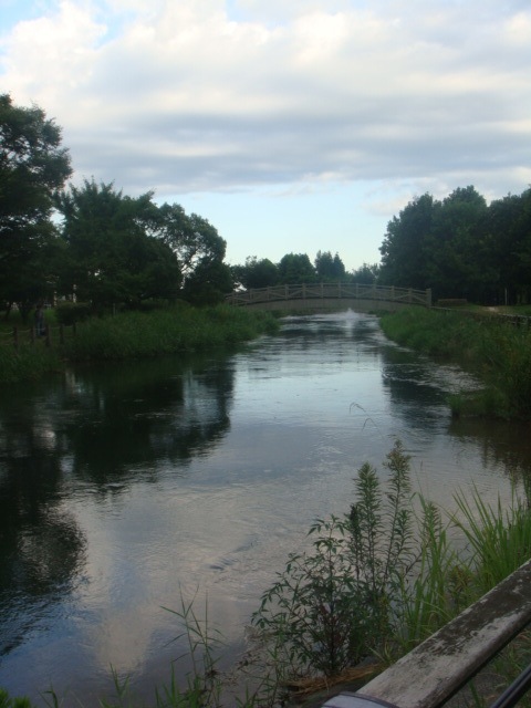 わたしの散歩道。_d0082561_20595639.jpg