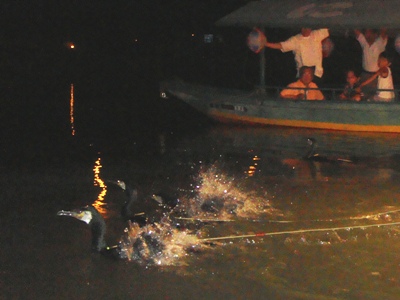 e0197164_8523440.jpg