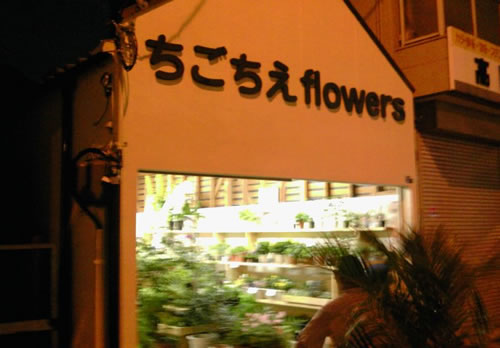 c0127068_15324944.jpg