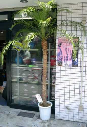 c0127068_15335559.jpg