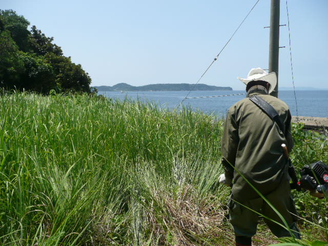 a0154870_2231850.jpg