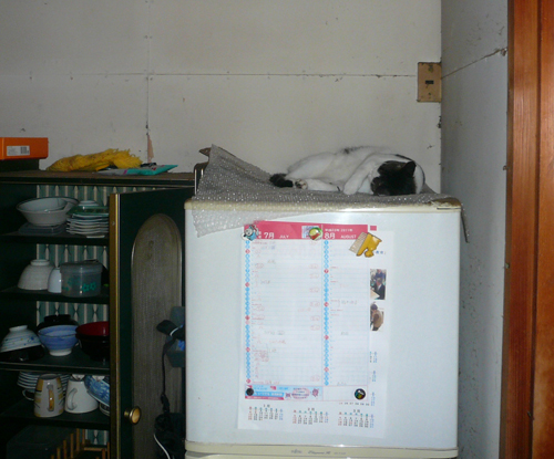 f0128873_23175599.jpg