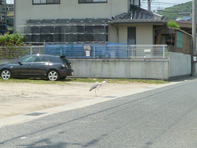 玉島魚市場へ_e0176580_18171444.jpg