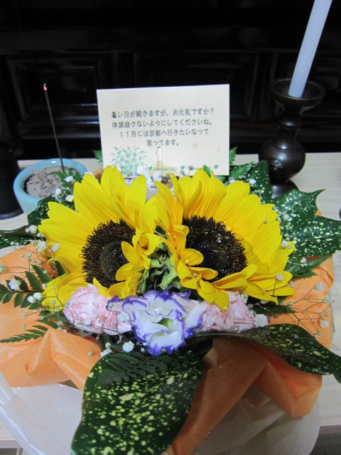 f0209683_15664.jpg