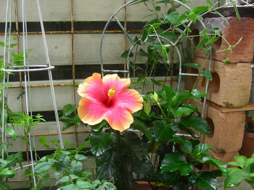 b0096584_13312368.jpg