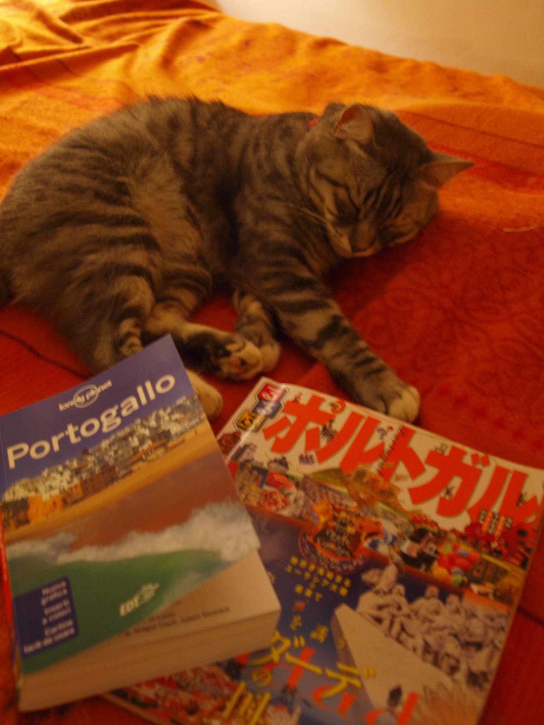 どっちが 役立つガイドBOOK???_c0179785_358889.jpg