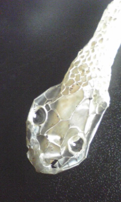 e0054290_0393766.jpg