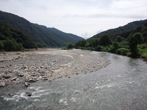 d0155392_75613.jpg