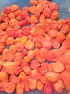 a0045193_17293899.jpg