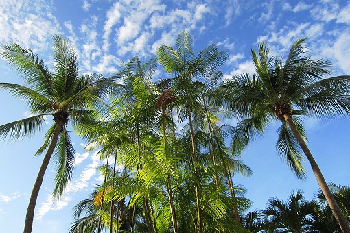 e0160595_04014100.jpg
