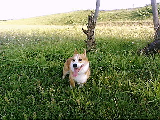 f0200795_21485835.jpg